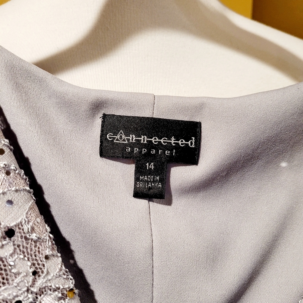 Silver Lace Cocktail Dress - Picture 9 of 12